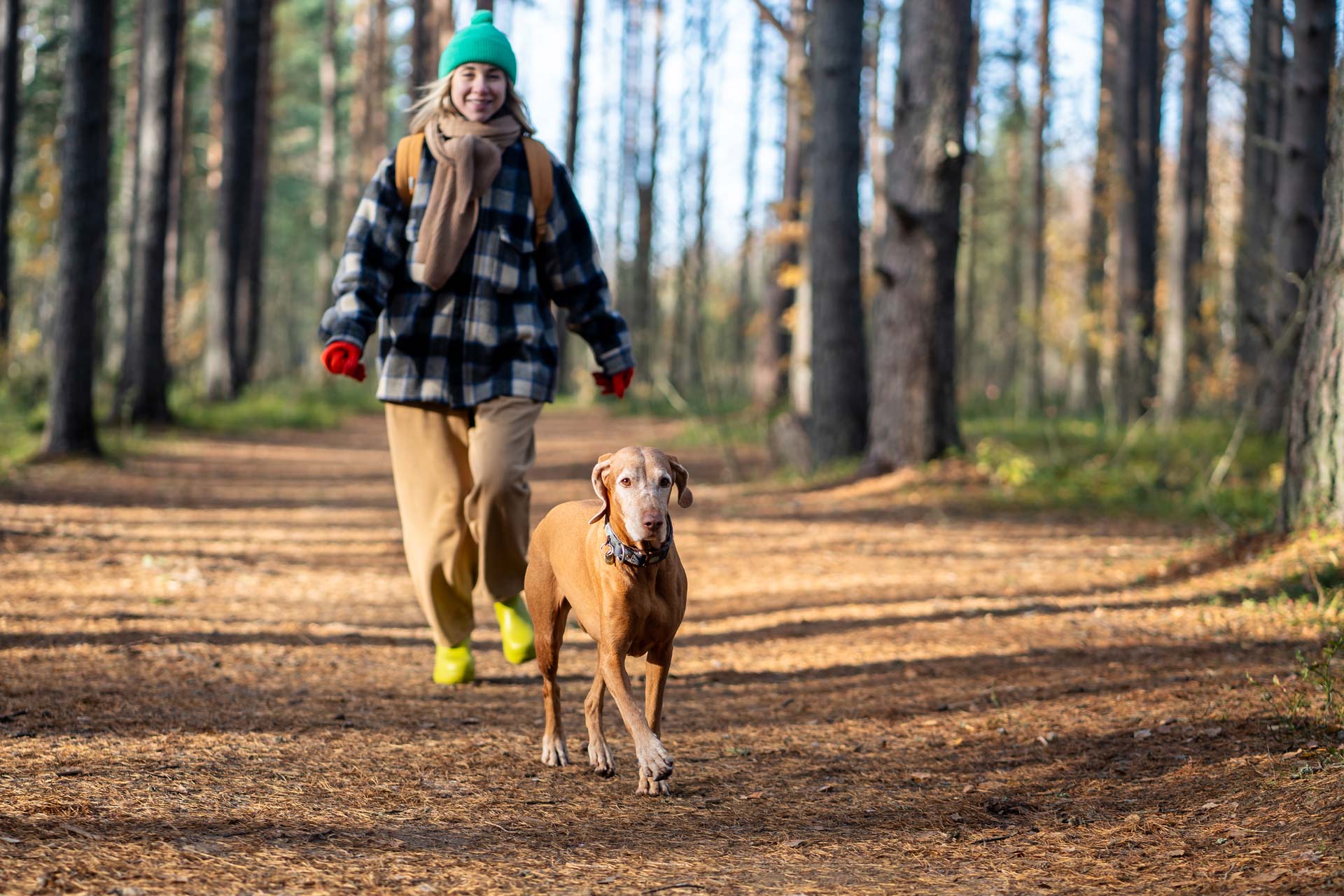 Husdjursfotografering i skogen, hund ute med sin matte på en promenad och fotograferas.