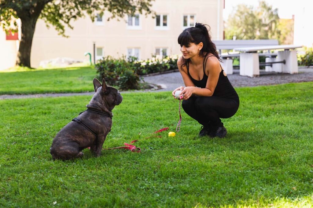 Husdjursfotografering utomhus i en park. Hund som fotograferas med matte.