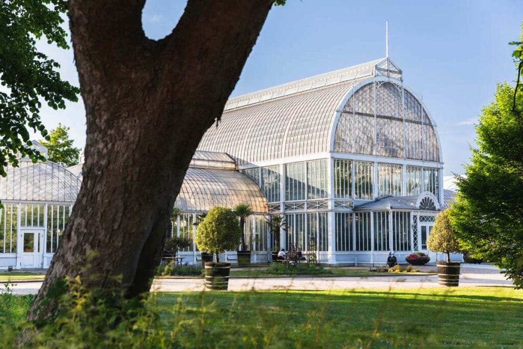 Bröllop i trädgårdsföreningen Göteborg, Palmhuset