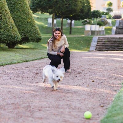 Husdjursbilder utomhus. Hund som leker.