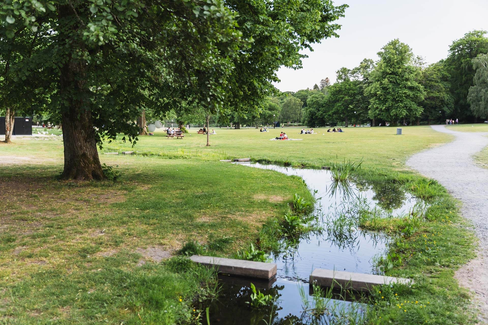 Slottsskogen i Göteborg, bra fotoplatser.