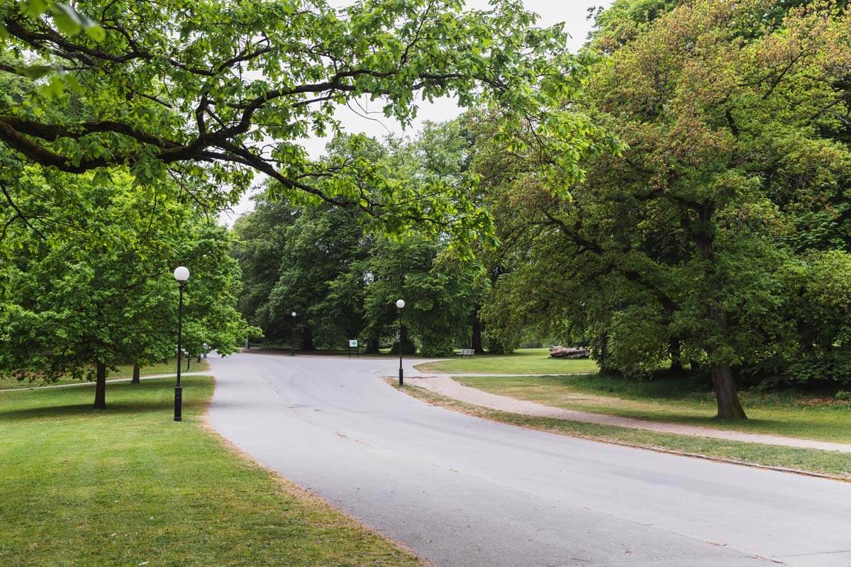 Slottsskogspromenaden, tips på fotoplatser i slottsskogen för fotograferingar
