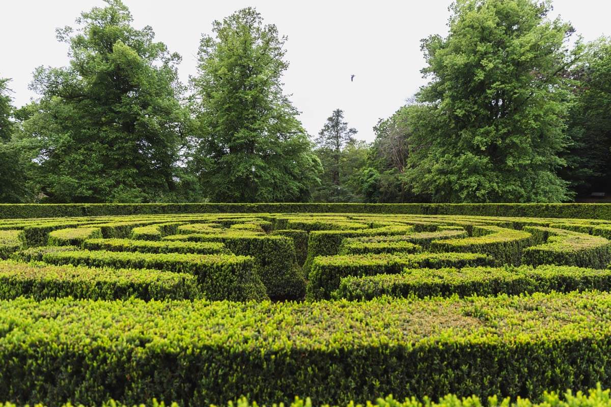 Labyrinten i Slottsskogen Göteborg vacker fotoplats.