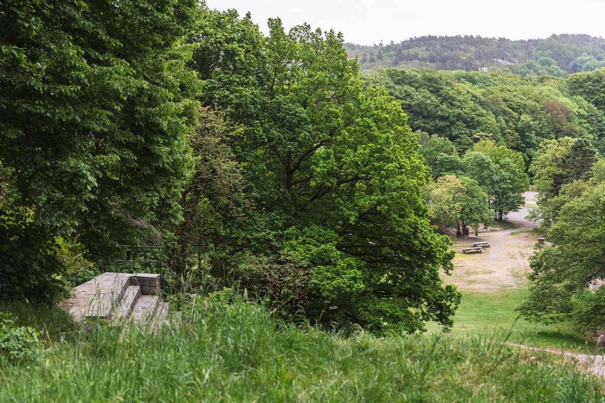 Bragebacken i Slottsskogen Göteborg.